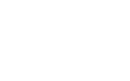 dronamics