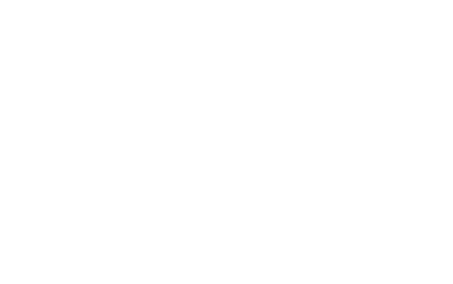 Dronamics